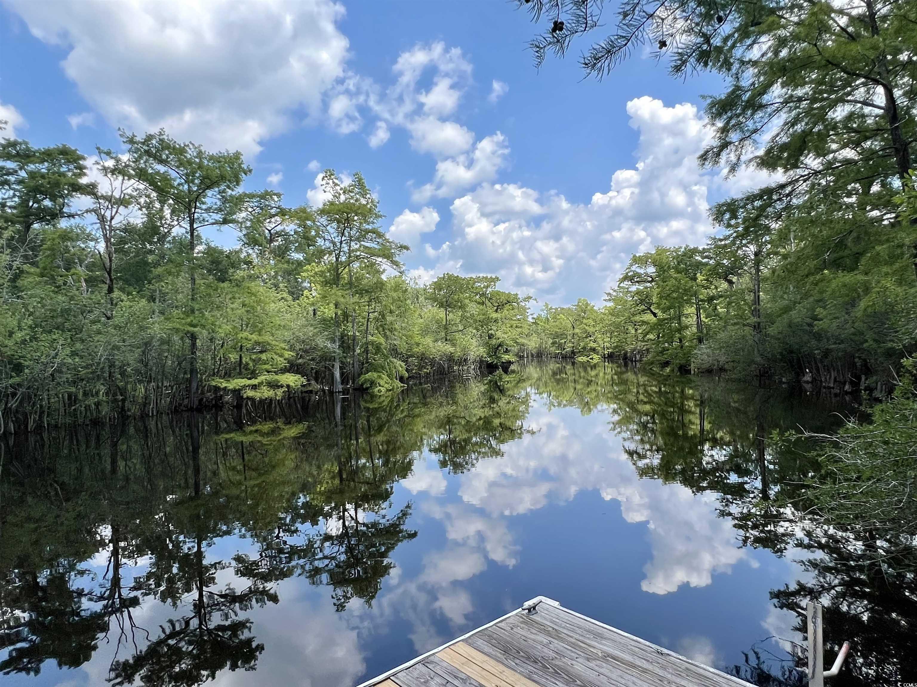 286 Rivers Edge Drive Conway, SC 29526 - Photo 7 of 12