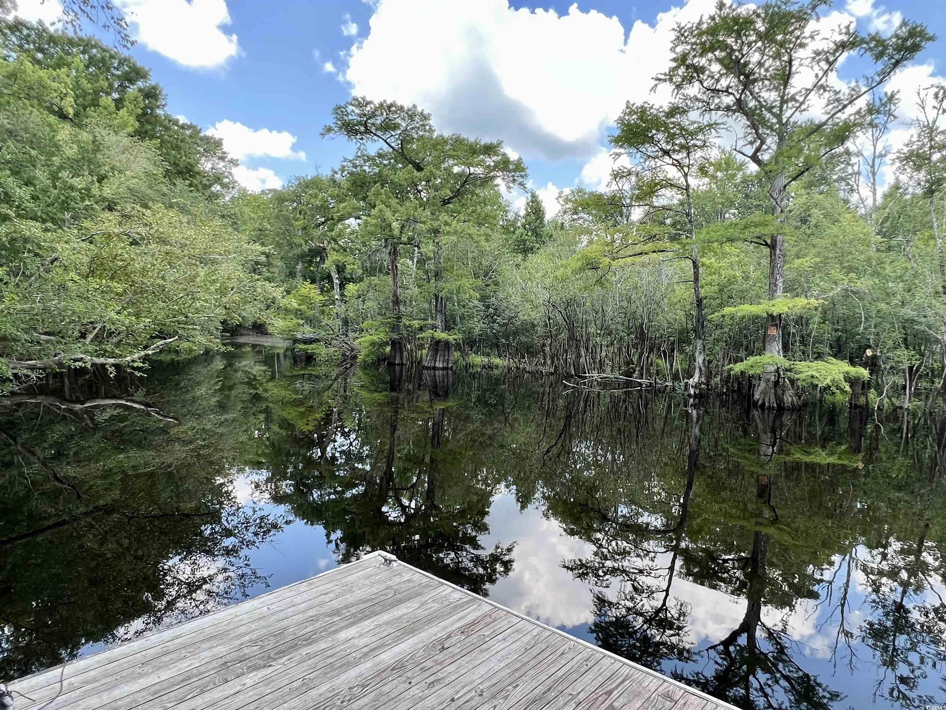 286 Rivers Edge Drive Conway, SC 29526 - Photo 8 of 12