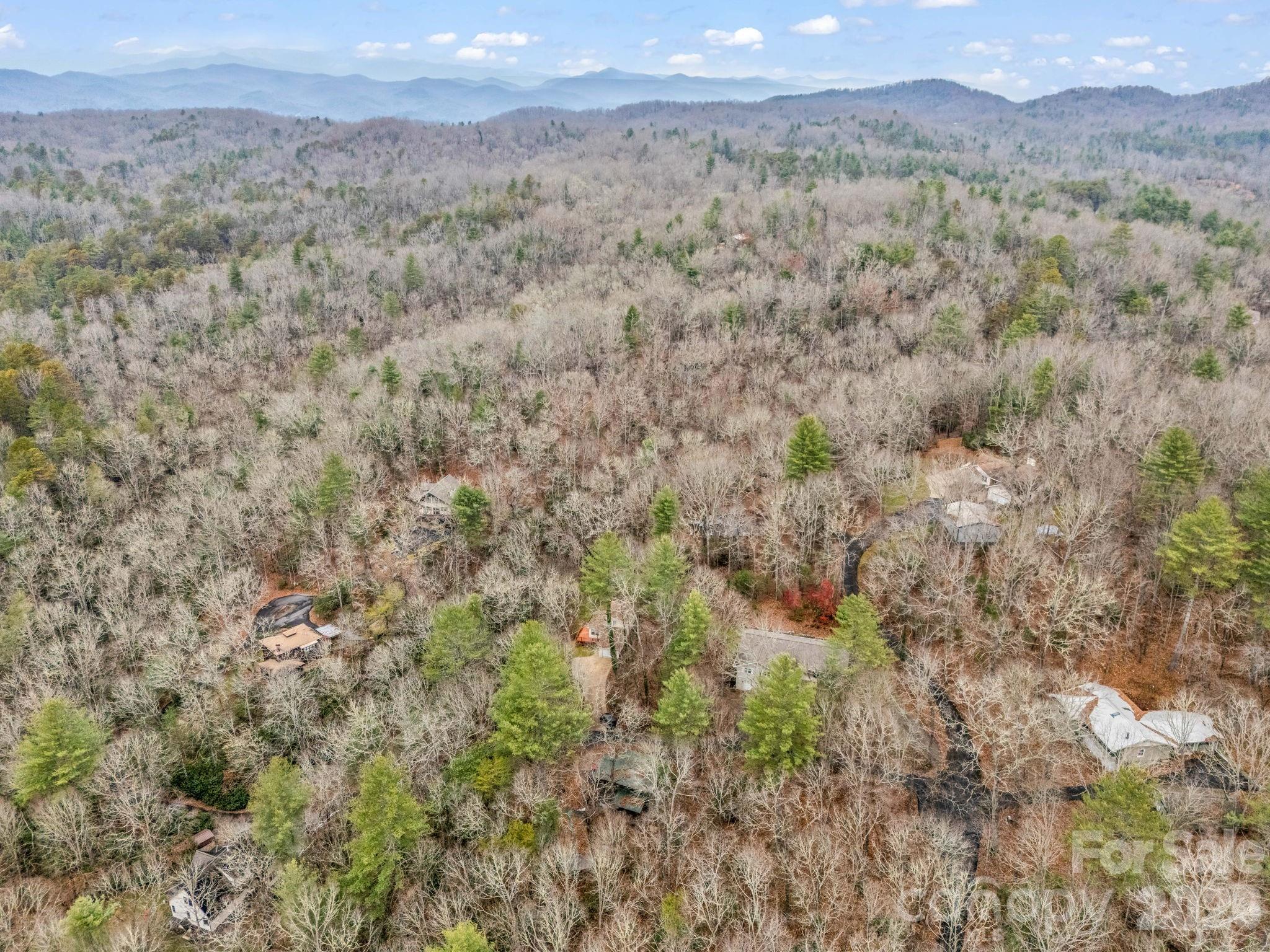 38 Renea Drive Brevard, NC 28712 - Photo 38 of 44 Gallery Image 38
