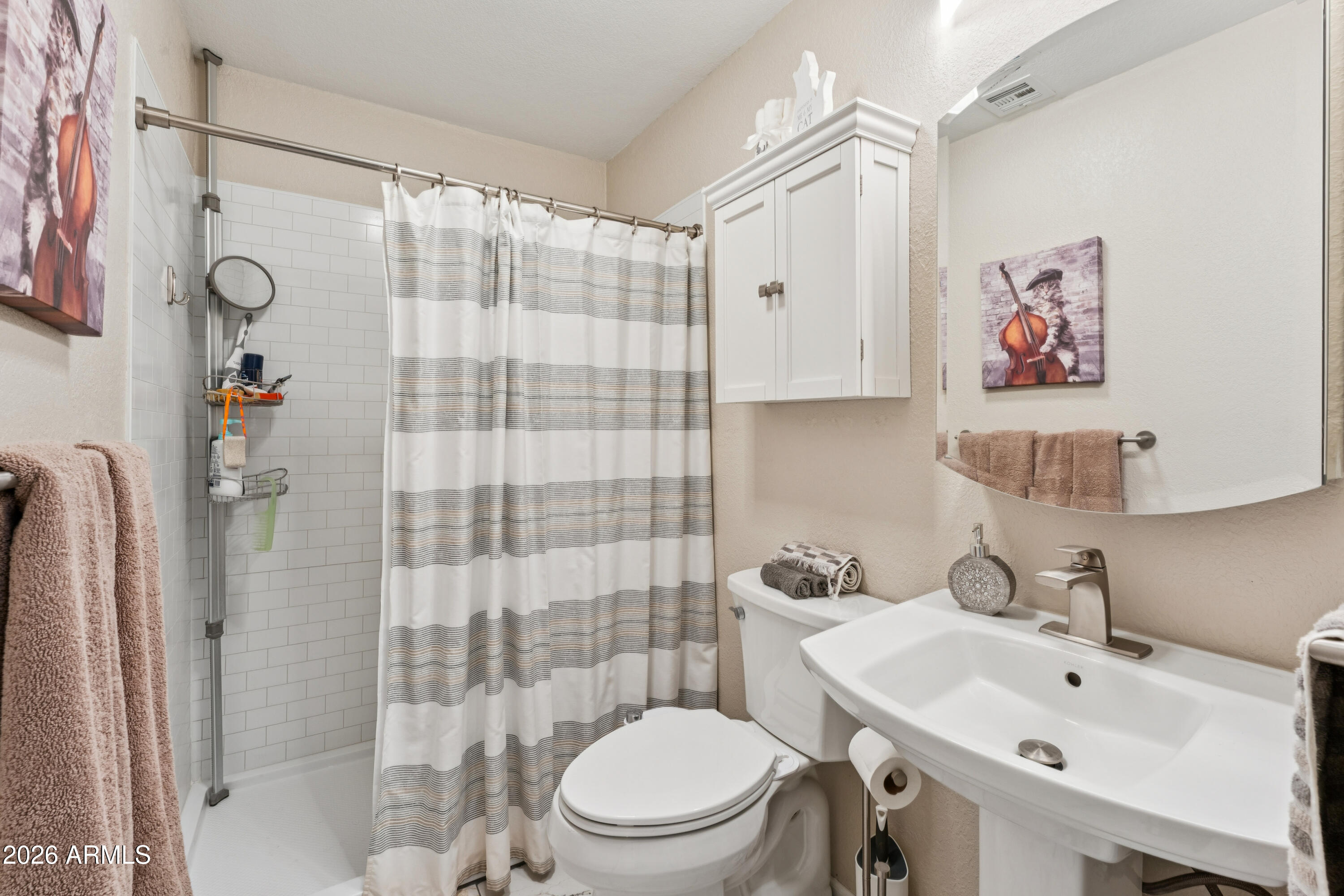 6027 South Alameda Road Gold Canyon, AZ 85118 - Photo 20 of 27 a bathroom with a sink toilet and shower