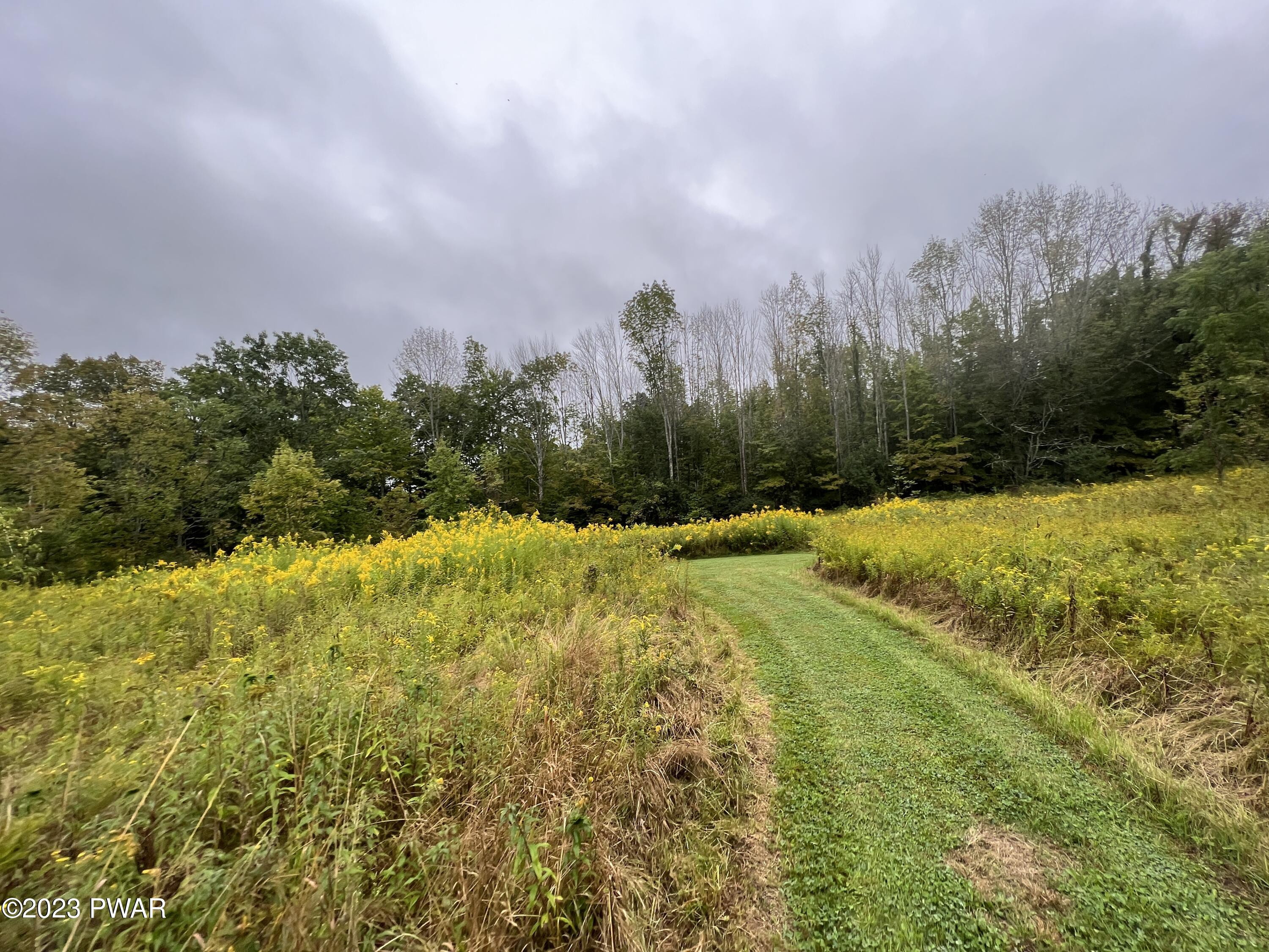 254 Big Hills Road Lake Ariel, PA 18436 - Photo 74 of 91