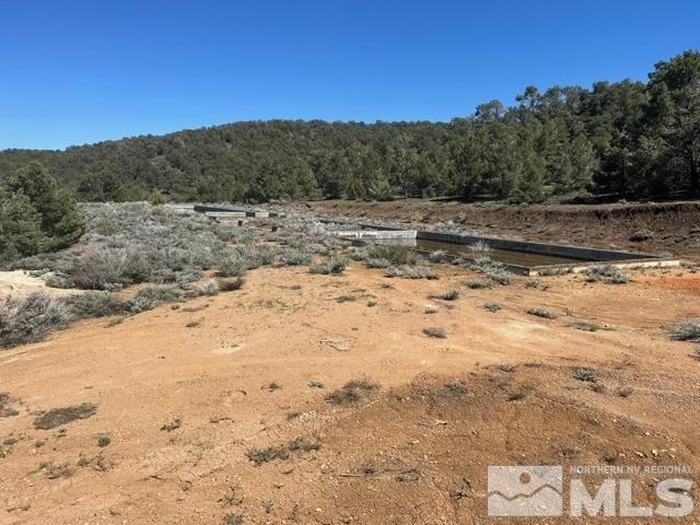 1540 Yellow Jacket Road Reno, NV 89521 - Photo 2 of 5 Photo 2