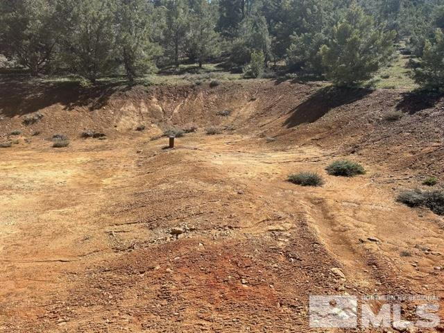 1540 Yellow Jacket Road Reno, NV 89521 - Photo 3 of 5 Photo 3