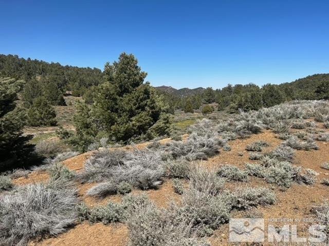 1540 Yellow Jacket Road Reno, NV 89521 - Photo 4 of 5 Photo 4