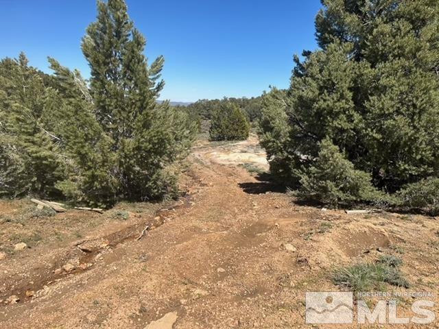 1540 Yellow Jacket Road Reno, NV 89521 - Photo 5 of 5 Photo 5