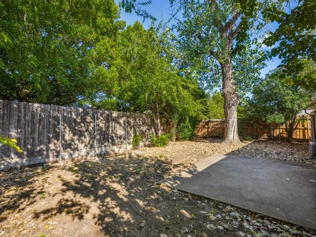 a view of a yard with plants and trees