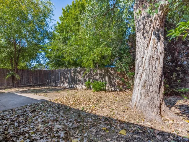 a view of a yard with plants and wooden fence