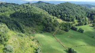 1340 Old Renick Road Renick, WV 24966 - Photo 2 of 53 Gallery Image 2
