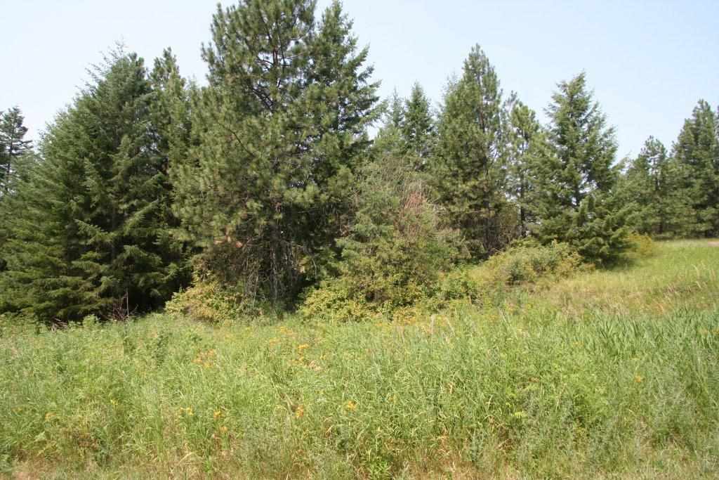 17312 East Scribner Road Spokane, WA 99217 - Photo 19 of 20