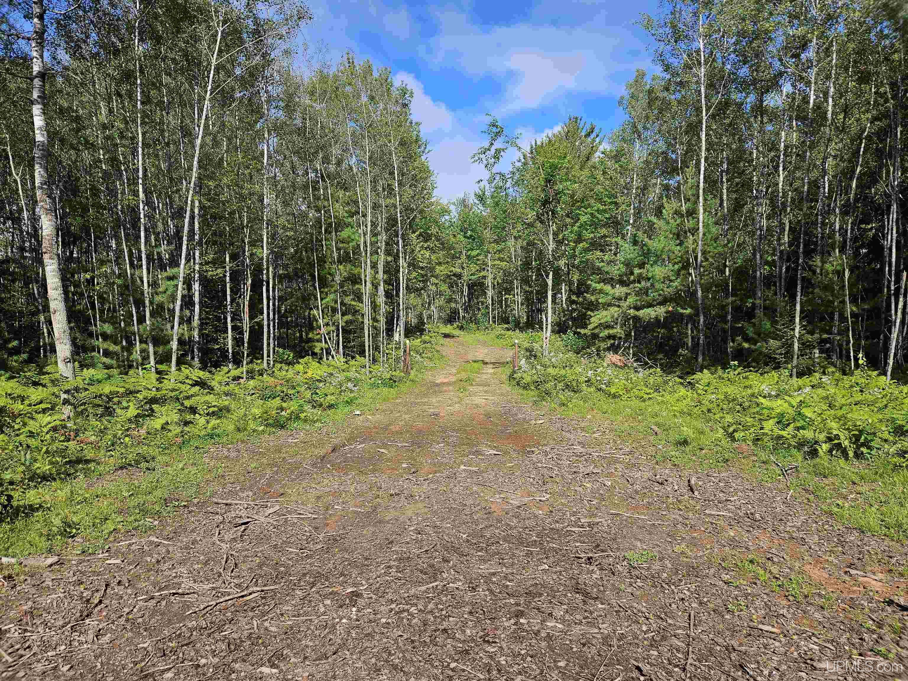189 Oss Road Crystal Falls, MI 49920 - Photo 62 of 70 Gallery Image 62