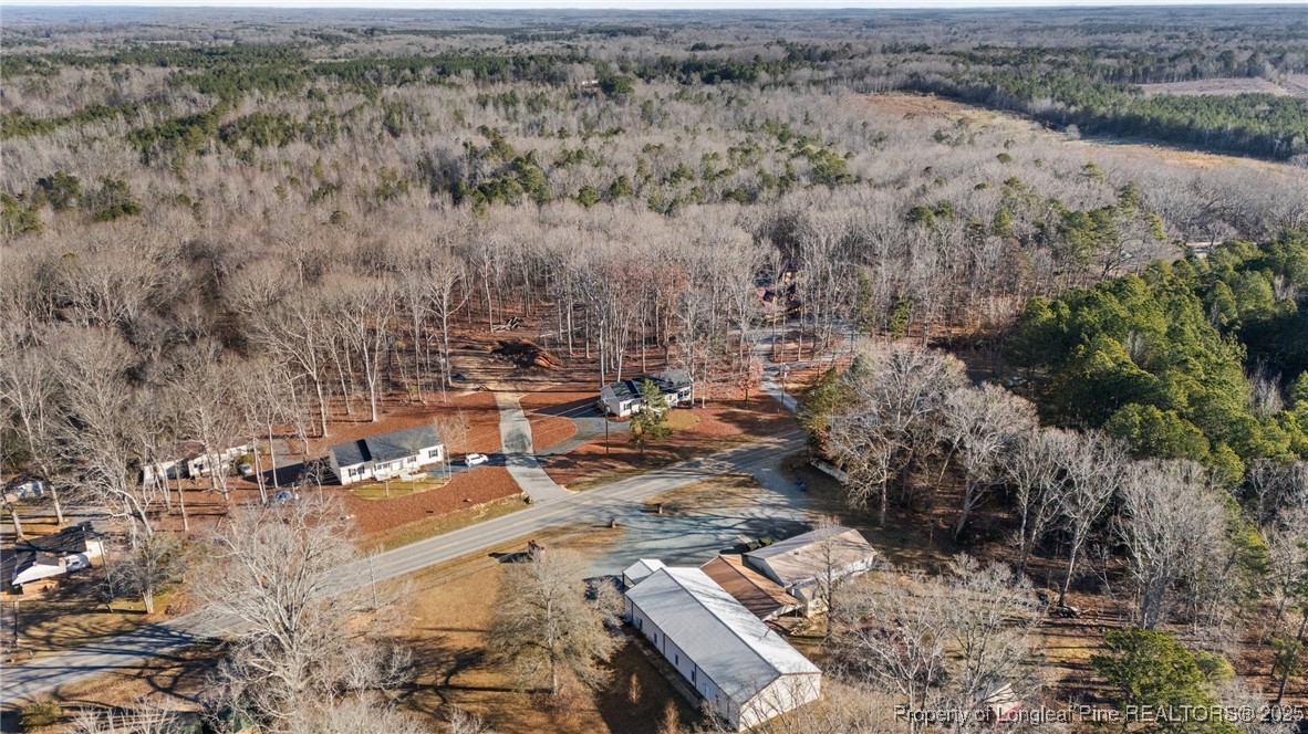 100 Holmes Lane Robbins, NC 27325 - Photo 5 of 43