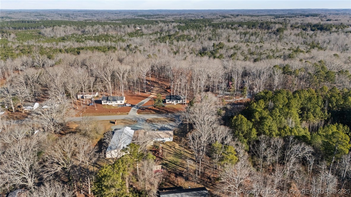 100 Holmes Lane Robbins, NC 27325 - Photo 6 of 43