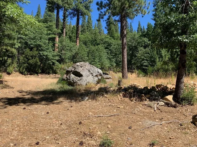 a view of a yard covered in snow
