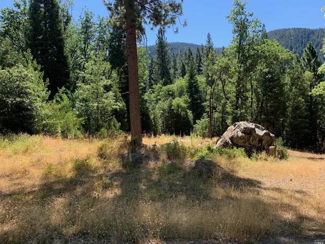 a view of a yard with trees