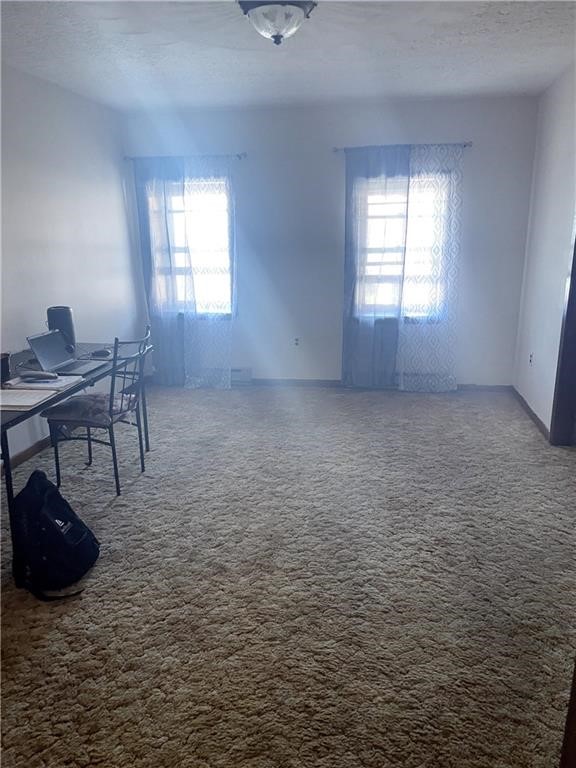 101 Main Street Phelps, NY 14532 - Photo 28 of 48