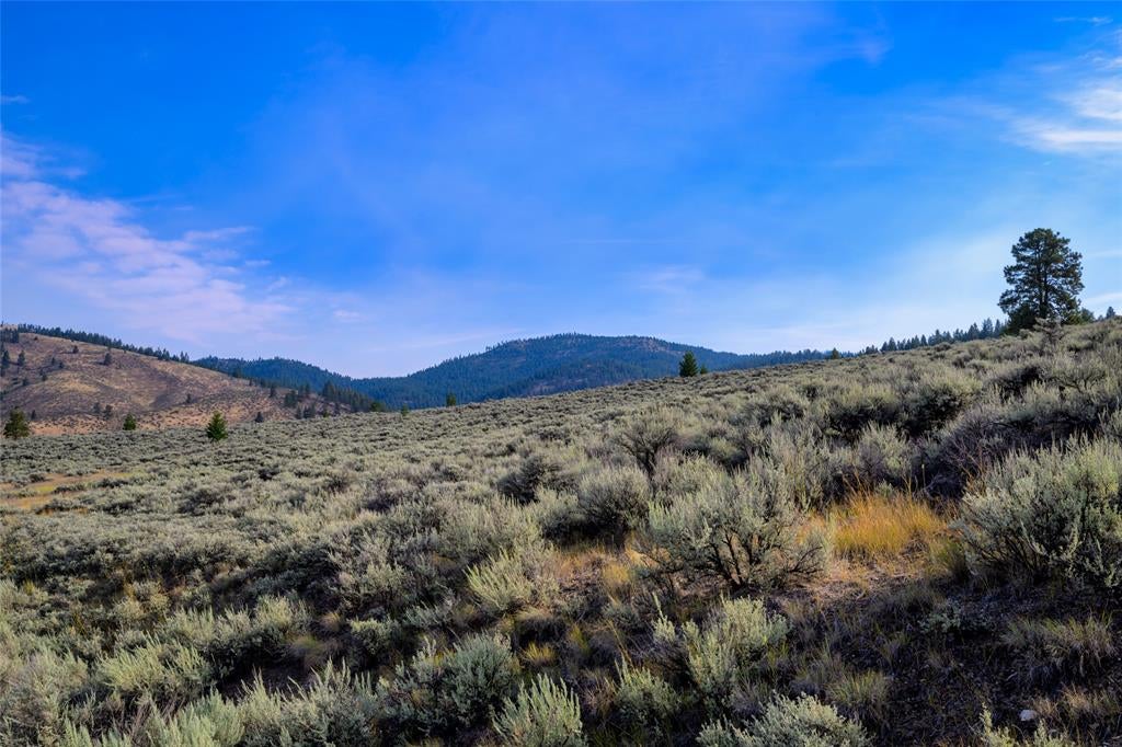 Lot 1 Sapphire Ridge Road Florence, MT 59833 - Photo 8 of 28 Gallery Image 8