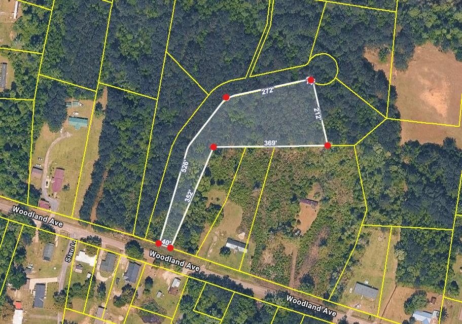 Tbd Tbd Right Hand Court Georgetown, SC 29440 - Photo 7 of 8