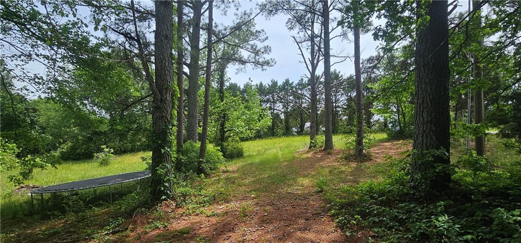 496 Blalock Road Southeast Adairsville, GA 30103 - Photo 3 of 8