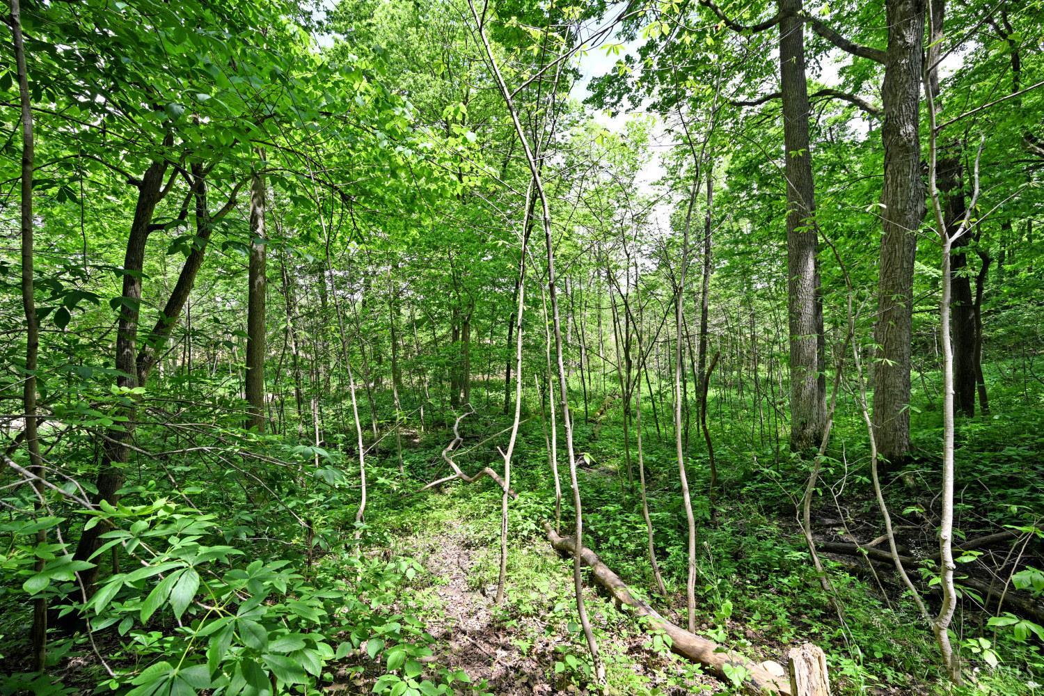 6244 Watt Road Camden, OH 45311 - Photo 34 of 48