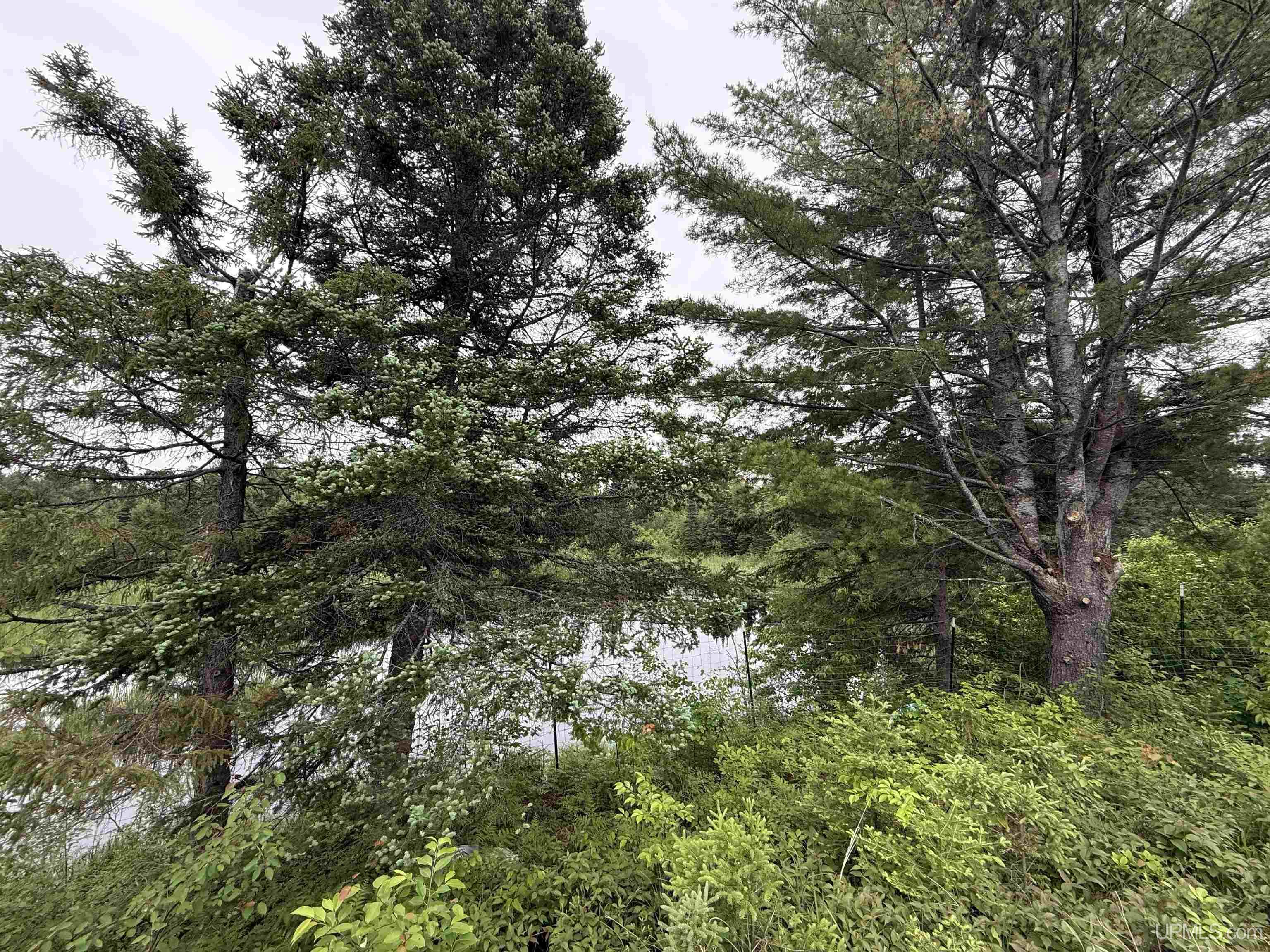 9535 Walstroms Road Republic, MI 49879 - Photo 28 of 37
