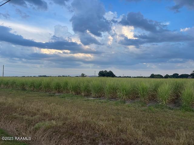 Tbd Albert Road Abbeville, LA 70510 - Photo 1 of 7