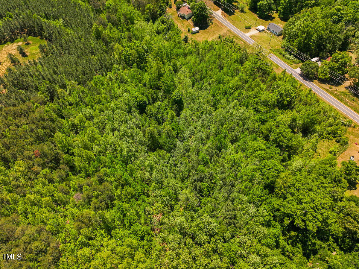 Lot-1-00 Wilson Road Providence, NC 27315 - Photo 39 of 43 Caswell Co. NC -Wilsons Ridge-Lot 1-37