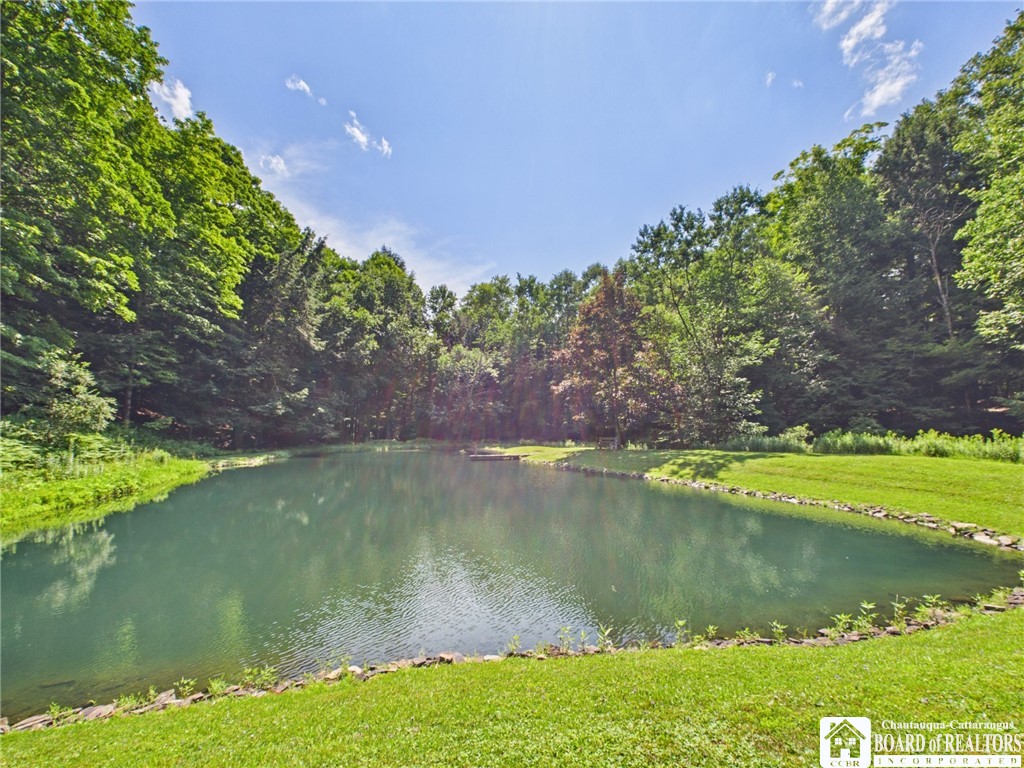 738 Butternut Brook Genesee, NY 14770 - Photo 45 of 47