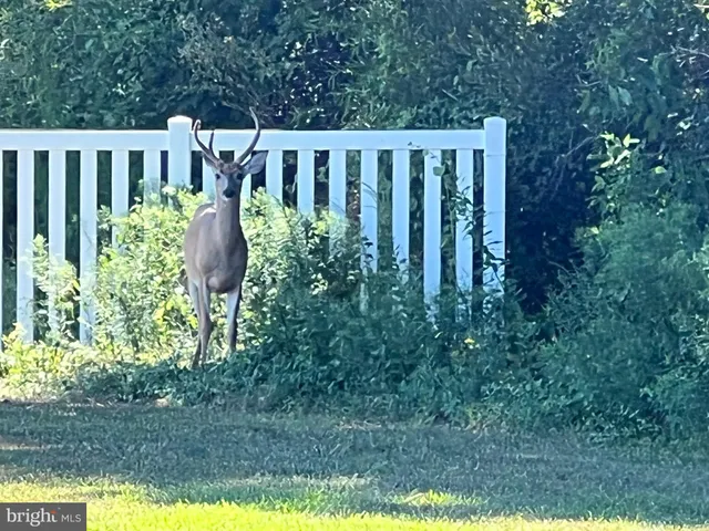 $235,000 | 11911 Yardarm Drive West, Berlin, MD 21811