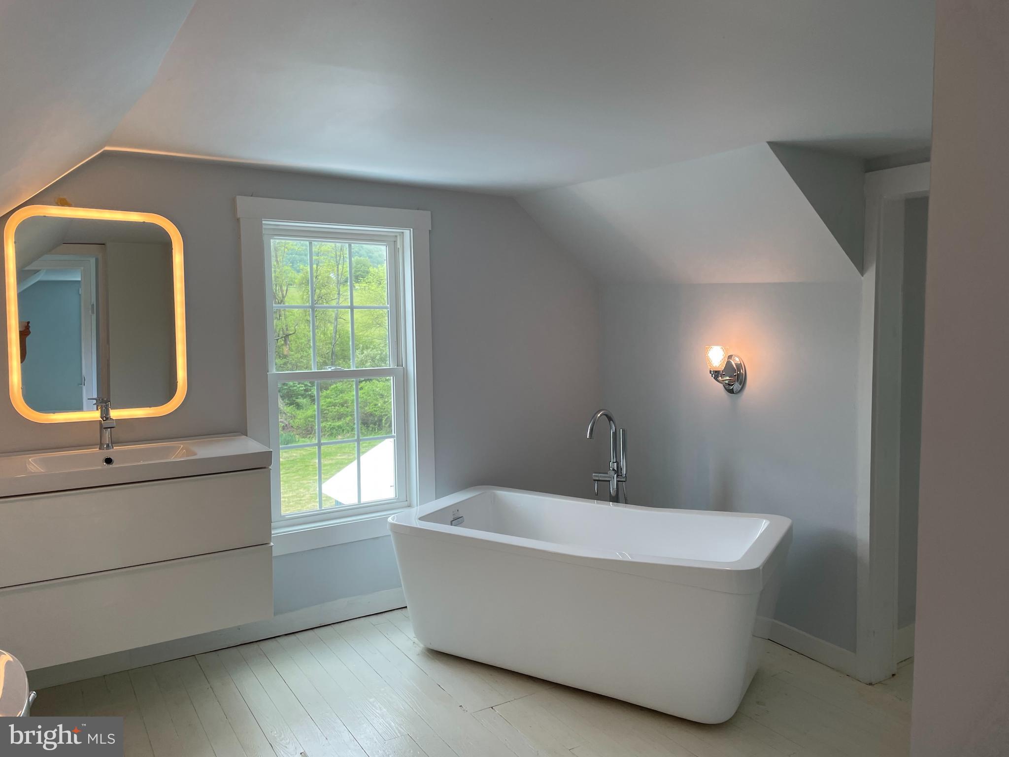 920 Fodderstack Road Flint Hill, VA 22627 - Photo 11 of 18 MASTER BATH SOAKING TUB