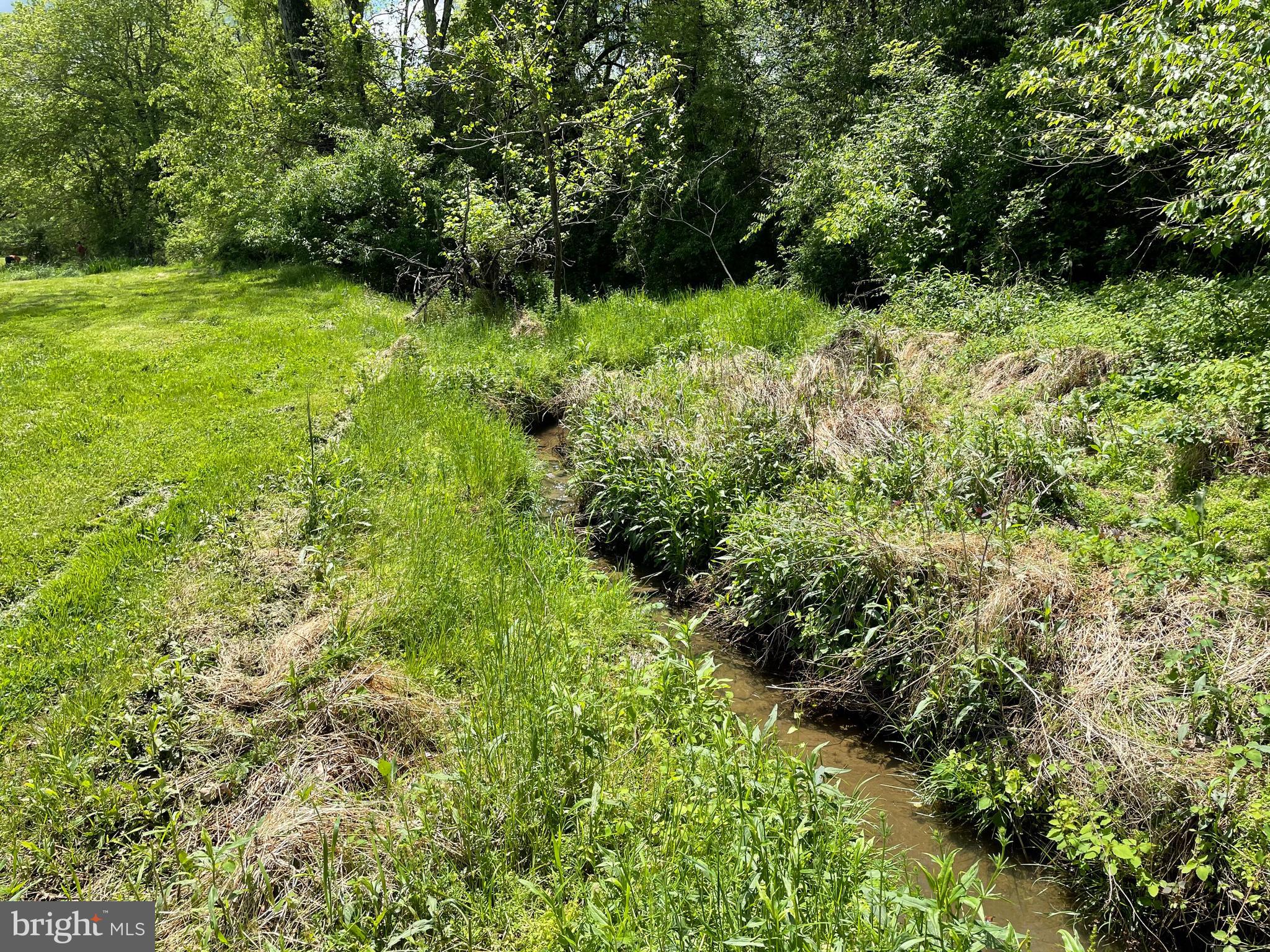 920 Fodderstack Road Flint Hill, VA 22627 - Photo 16 of 18 STREAM RUNS THROUGH IT - POND ANYONE?