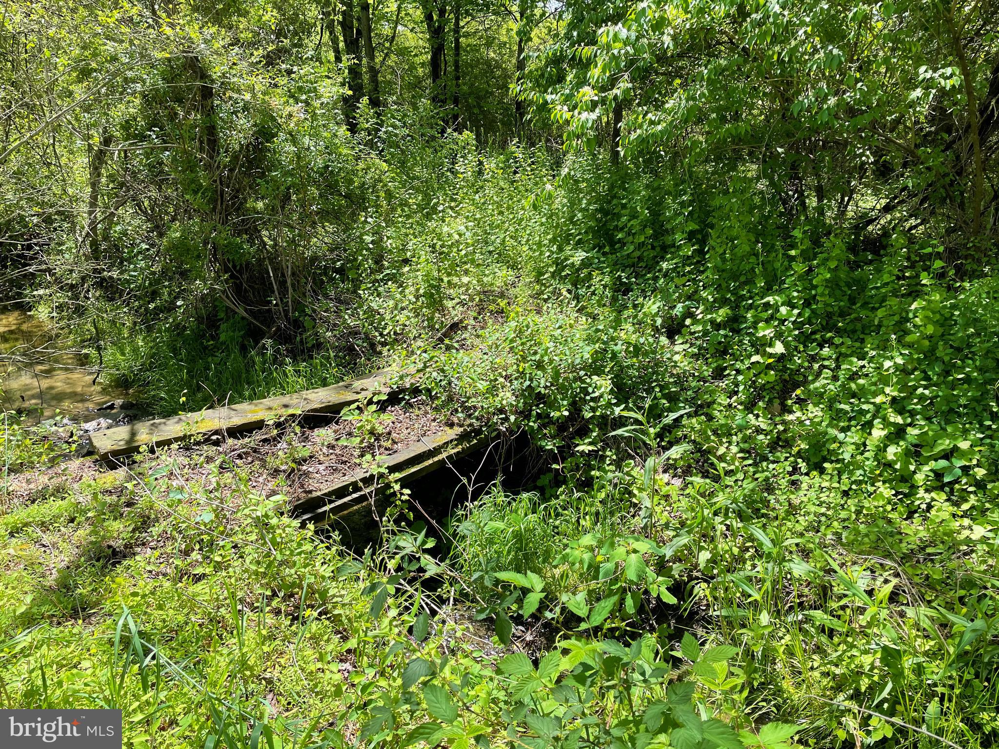 920 Fodderstack Road Flint Hill, VA 22627 - Photo 17 of 18 OLD BRIDGE AWAITS YOUR RENOVATION