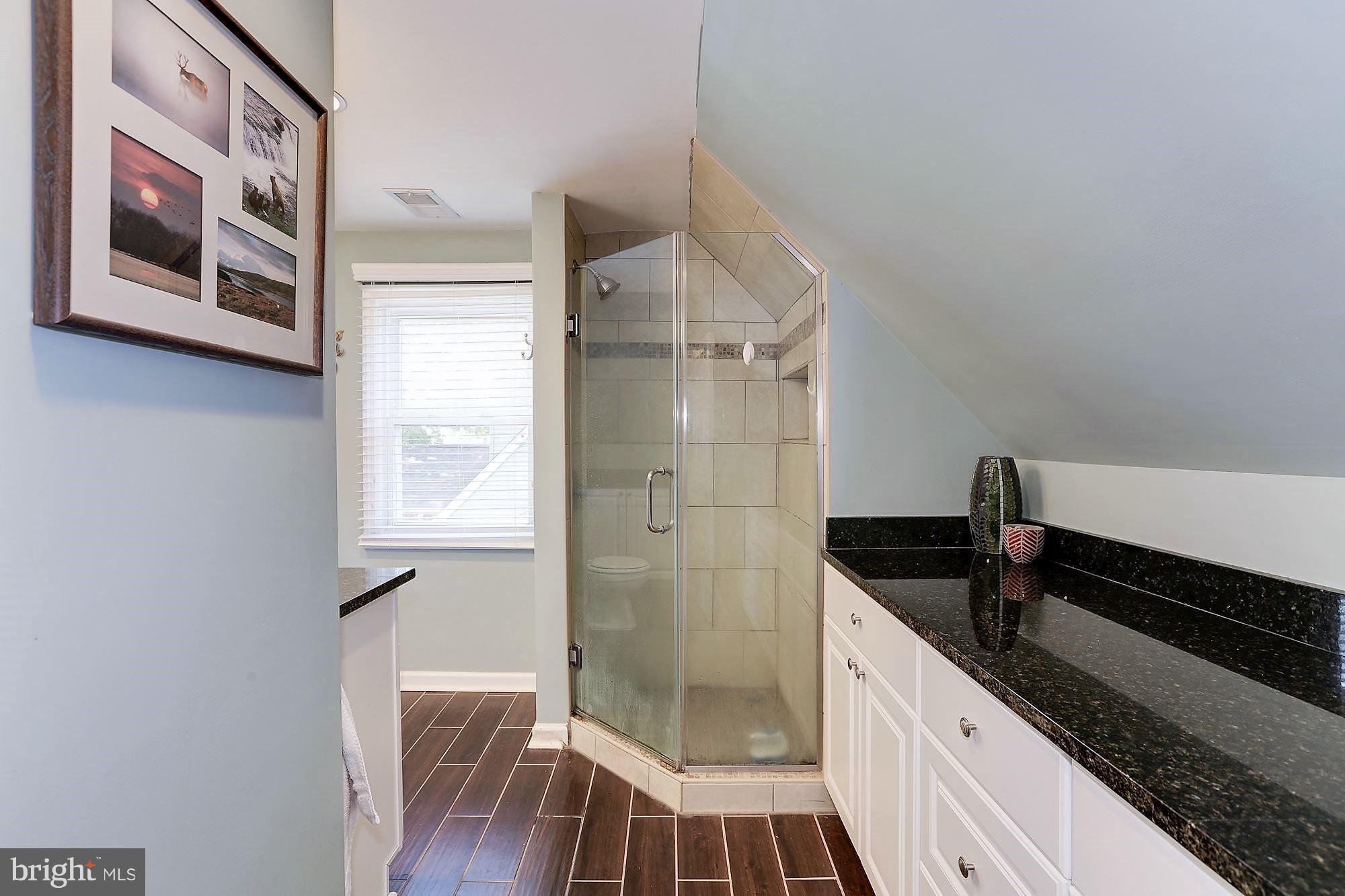 2926 Chestnut Road Edgewater, MD 21037 - Photo 17 of 30 Spa Bath w/storage cabinets
