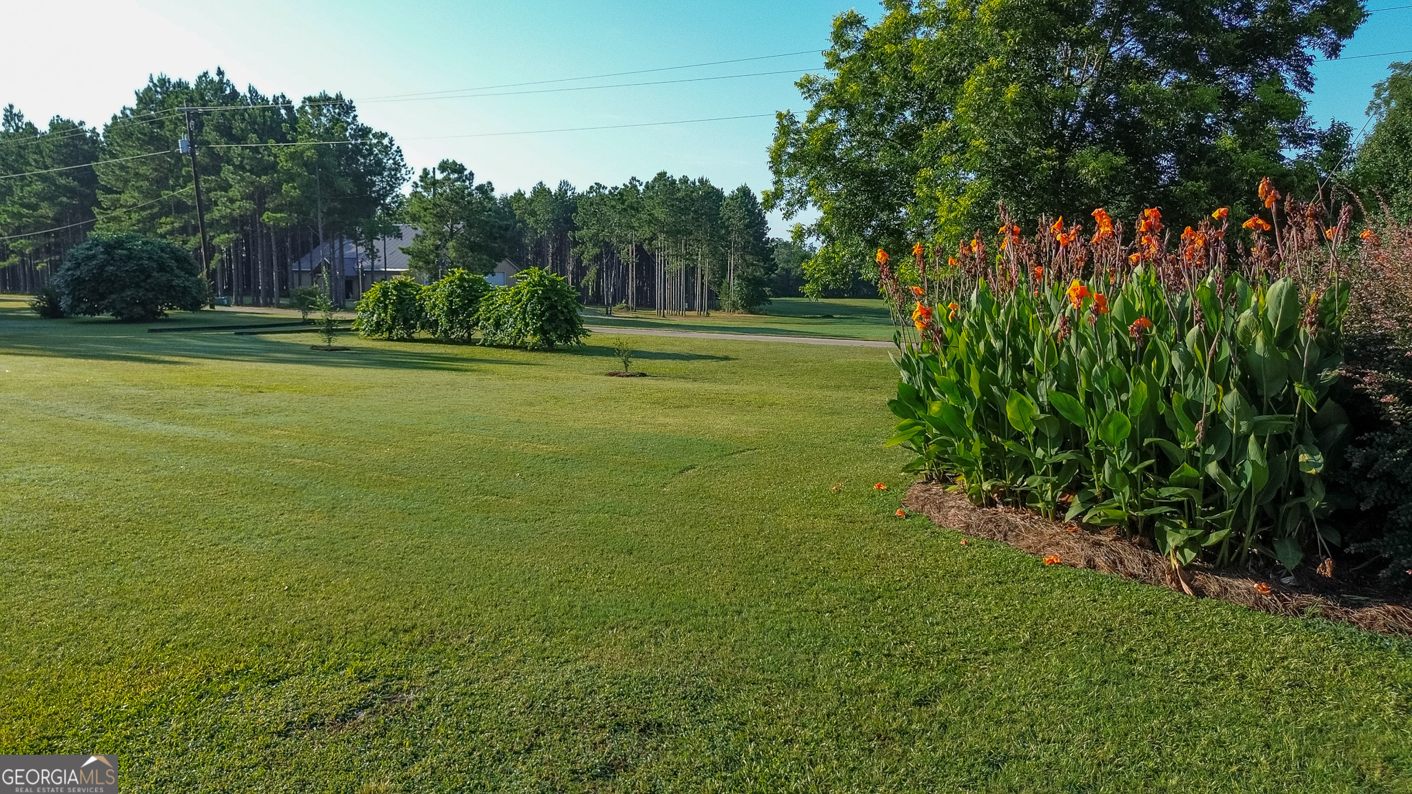 162 College Street Parrott, GA 39877 - Photo 38 of 52