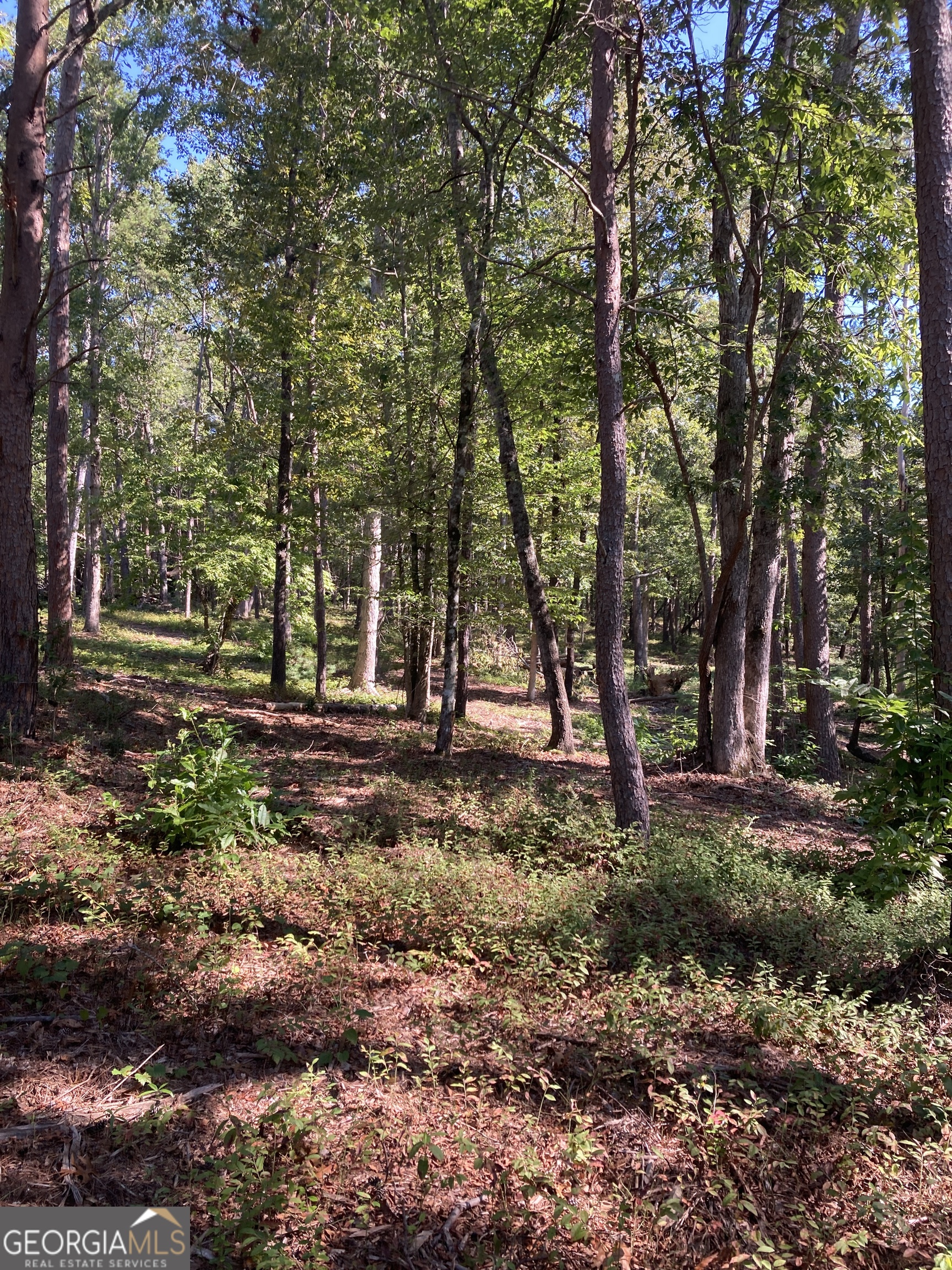 2 Annandale Drive Road Clarkesville, GA 30523 - Photo 2 of 5 a view of outdoor space with trees