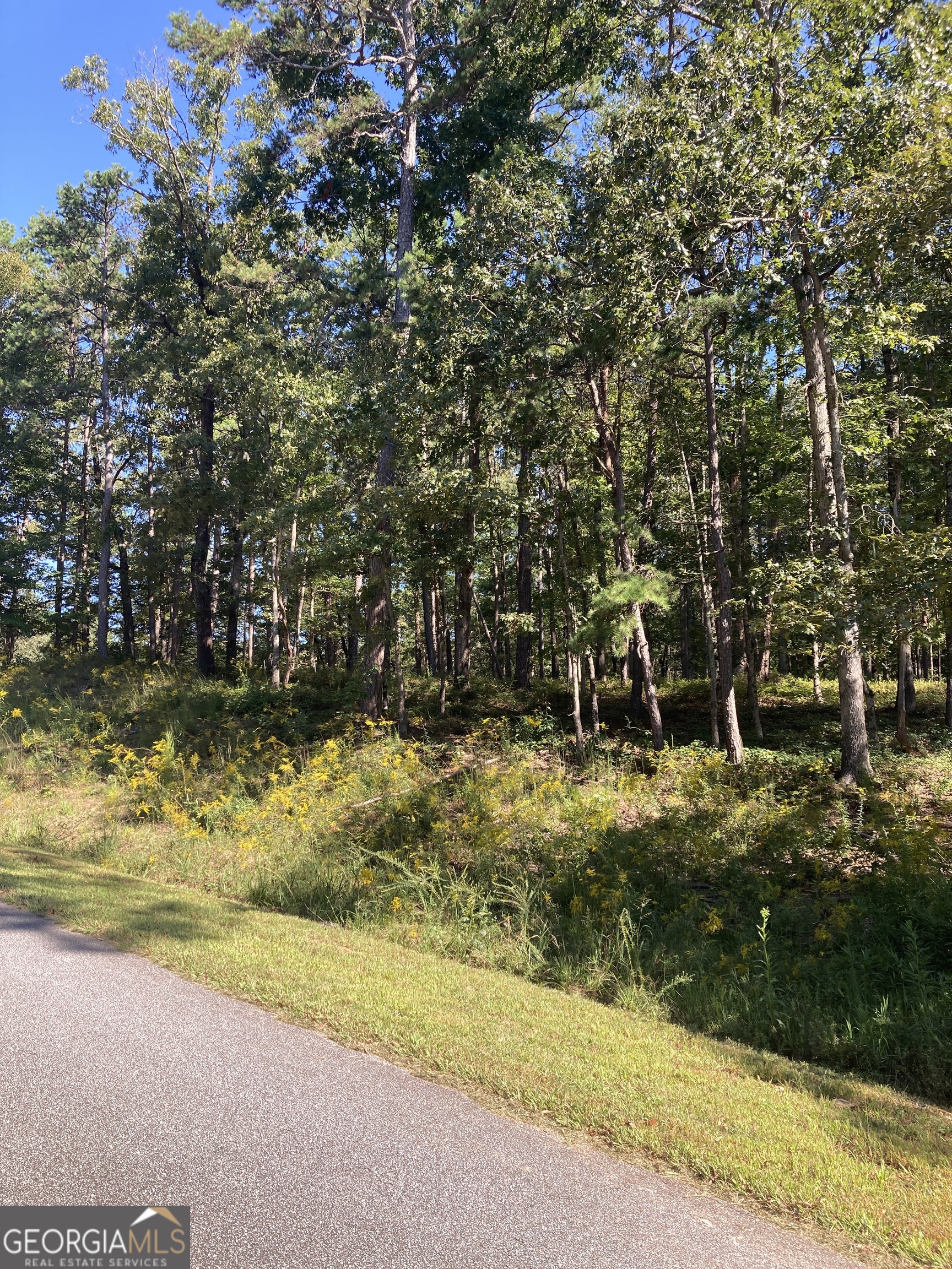 2 Annandale Drive Road Clarkesville, GA 30523 - Photo 4 of 5 a view of a yard