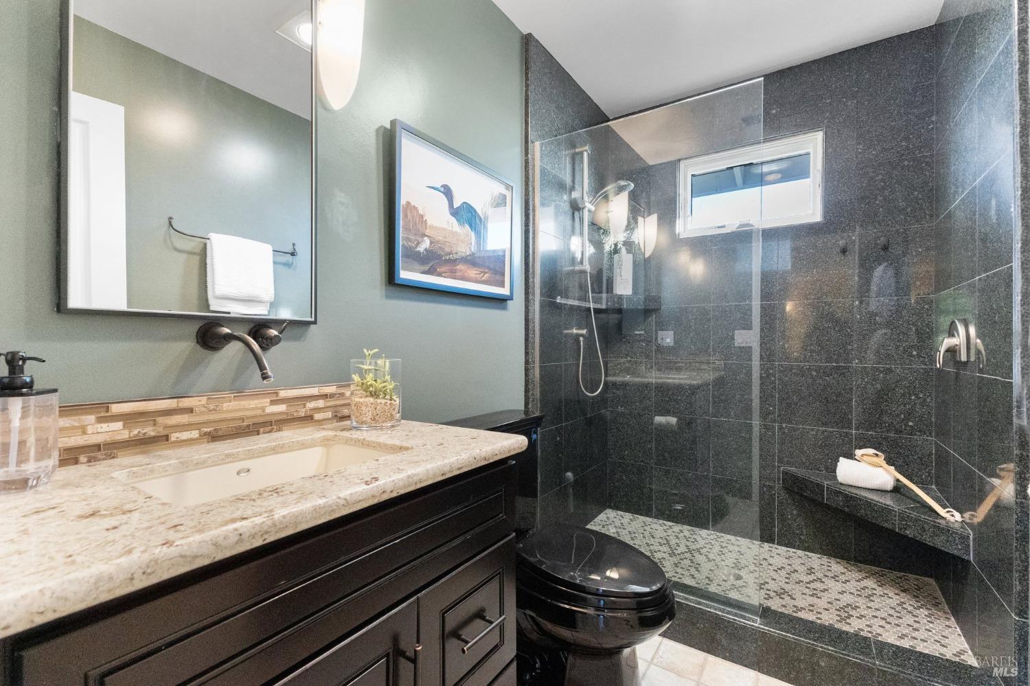 4680 Acacia Lane Penngrove, CA 94951 - Photo 58 of 83 a bathroom with a granite countertop sink a toilet a mirror and shower