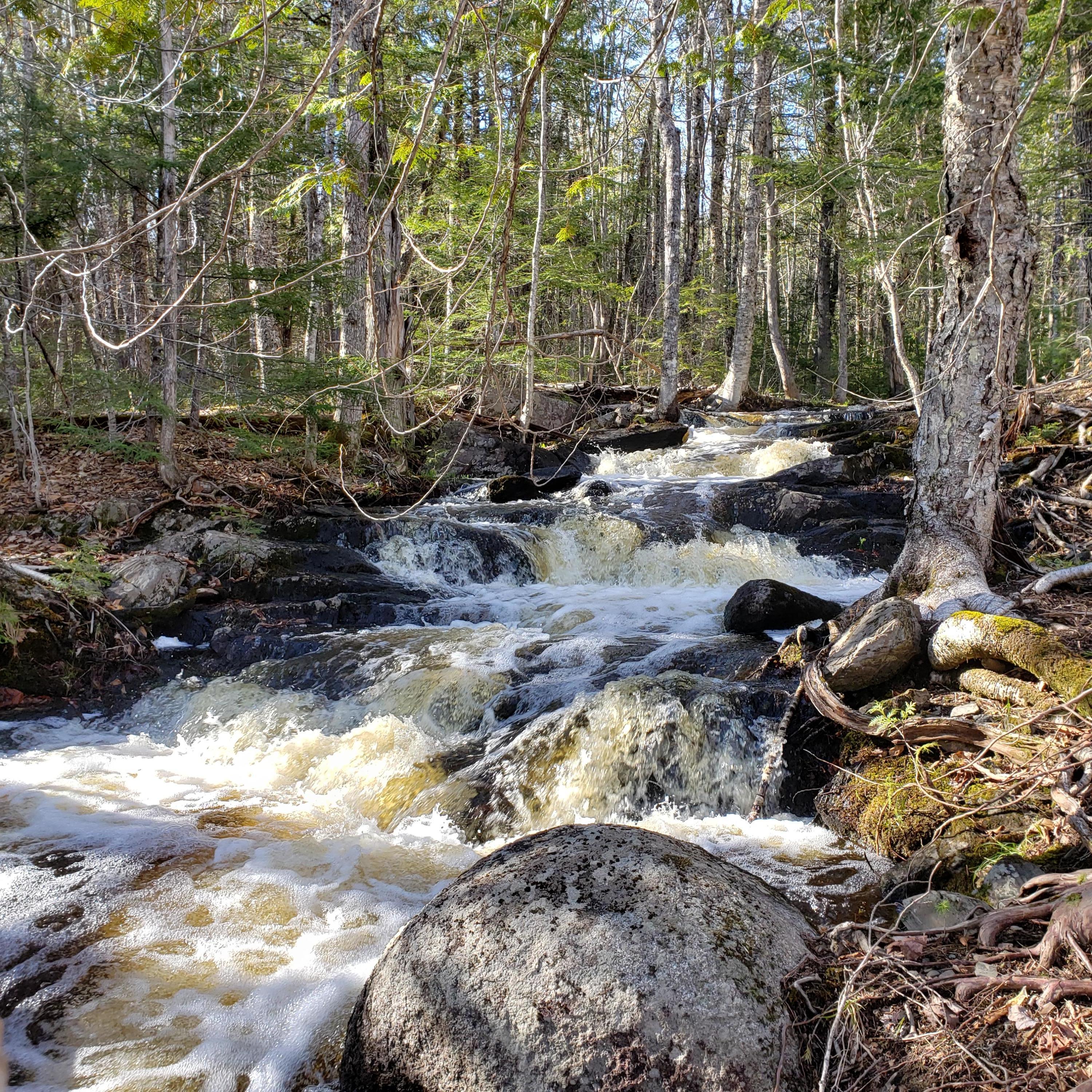 0 South Road Lincoln, ME 04457 - Photo 24 of 75 20210501_165336