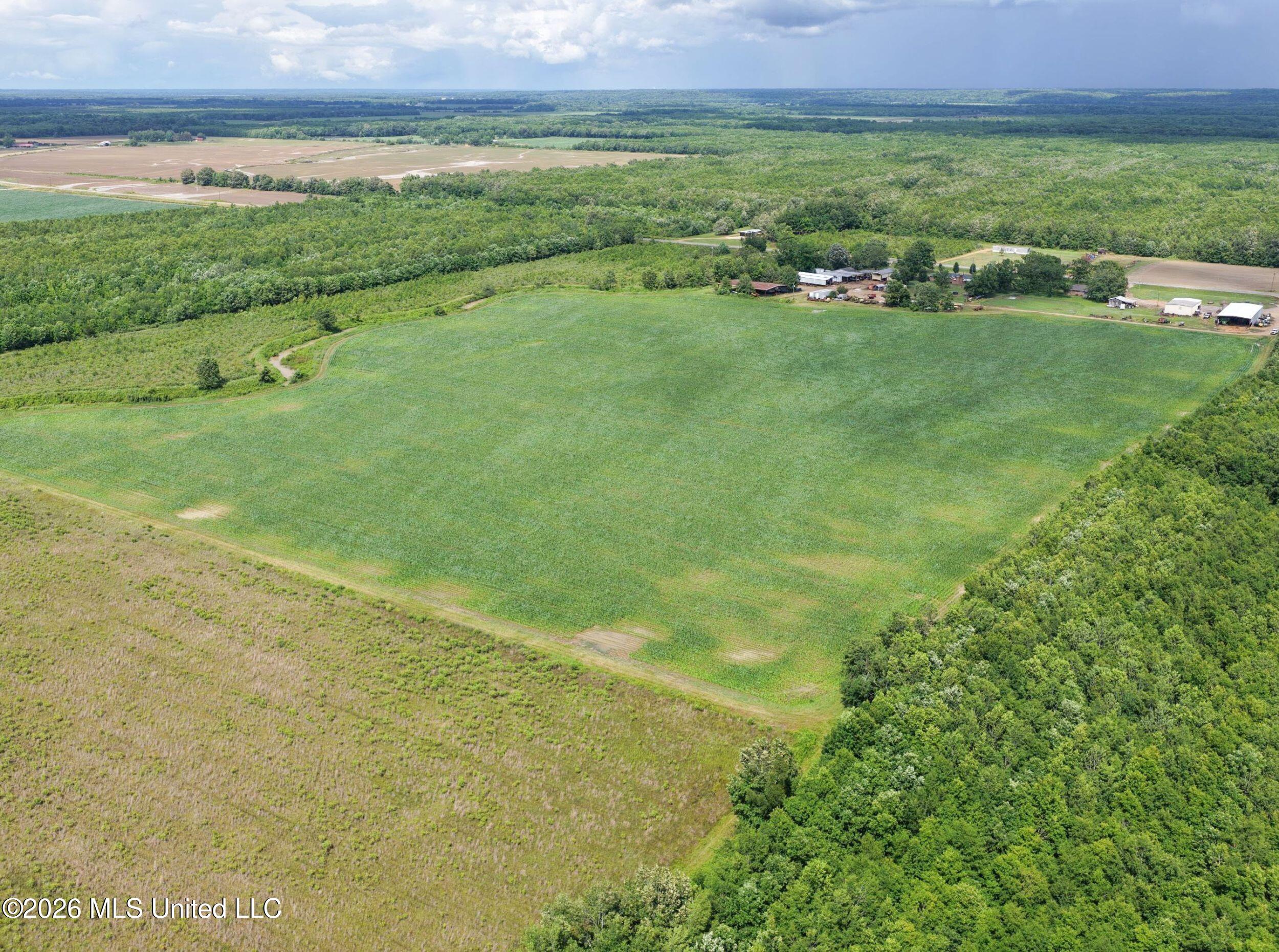 Dummyline Road Batesville, MS 38606 - Photo 16 of 44 2tndllnd4