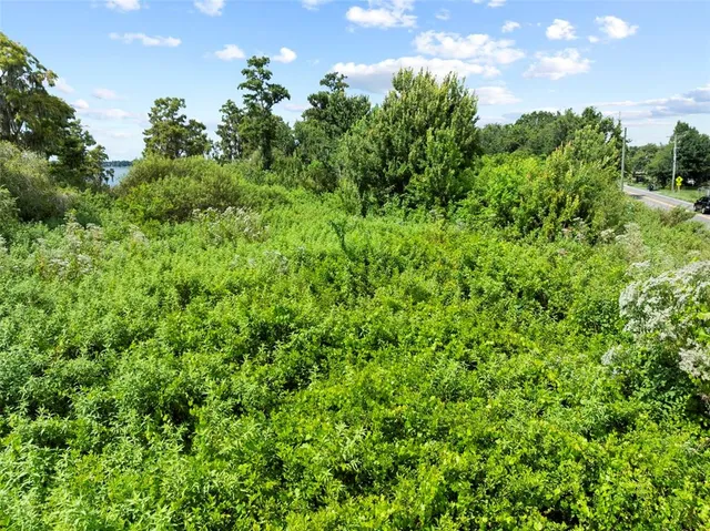 a view of a lush green forest with houses