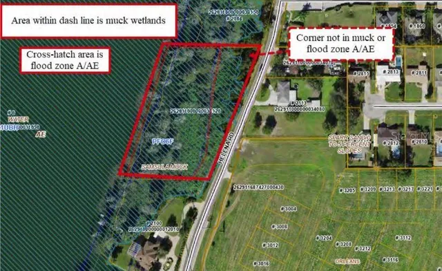 a view of a book shop with a garden