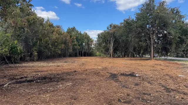 a view of outdoor space with trees