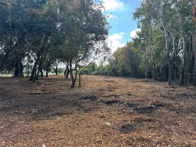 a view of outdoor space with trees