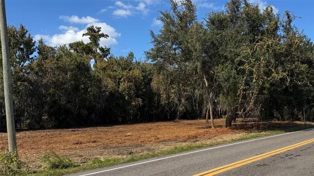 a view of swimming pool and trees