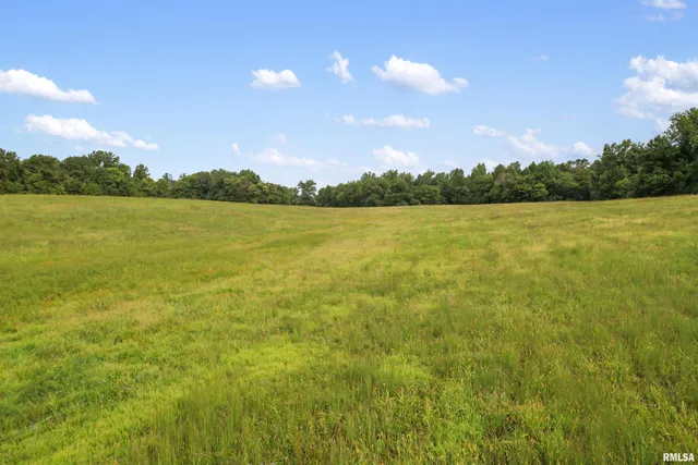 $169,600 | 0 Wing Hill Road, Cobden, IL 62920