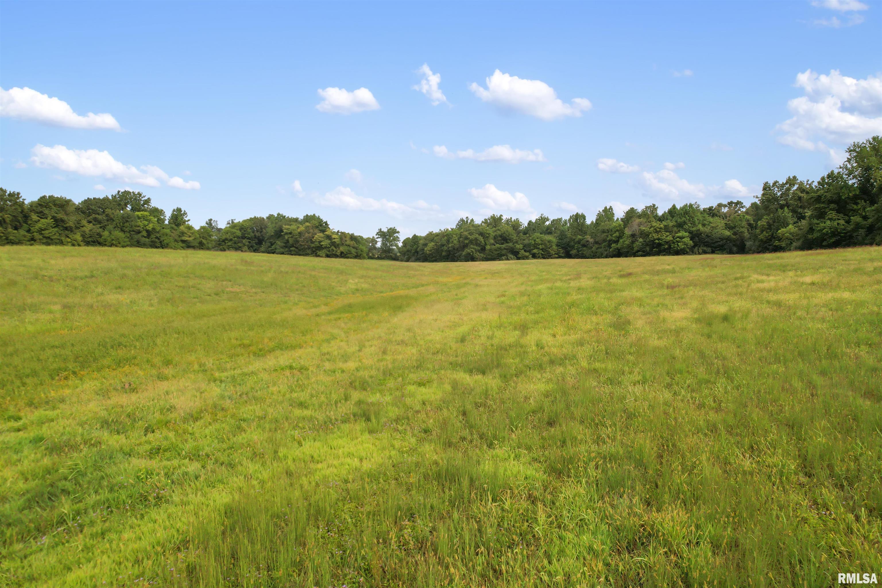 0 Wing Hill Road Cobden, IL 62920 - Photo 3 of 7