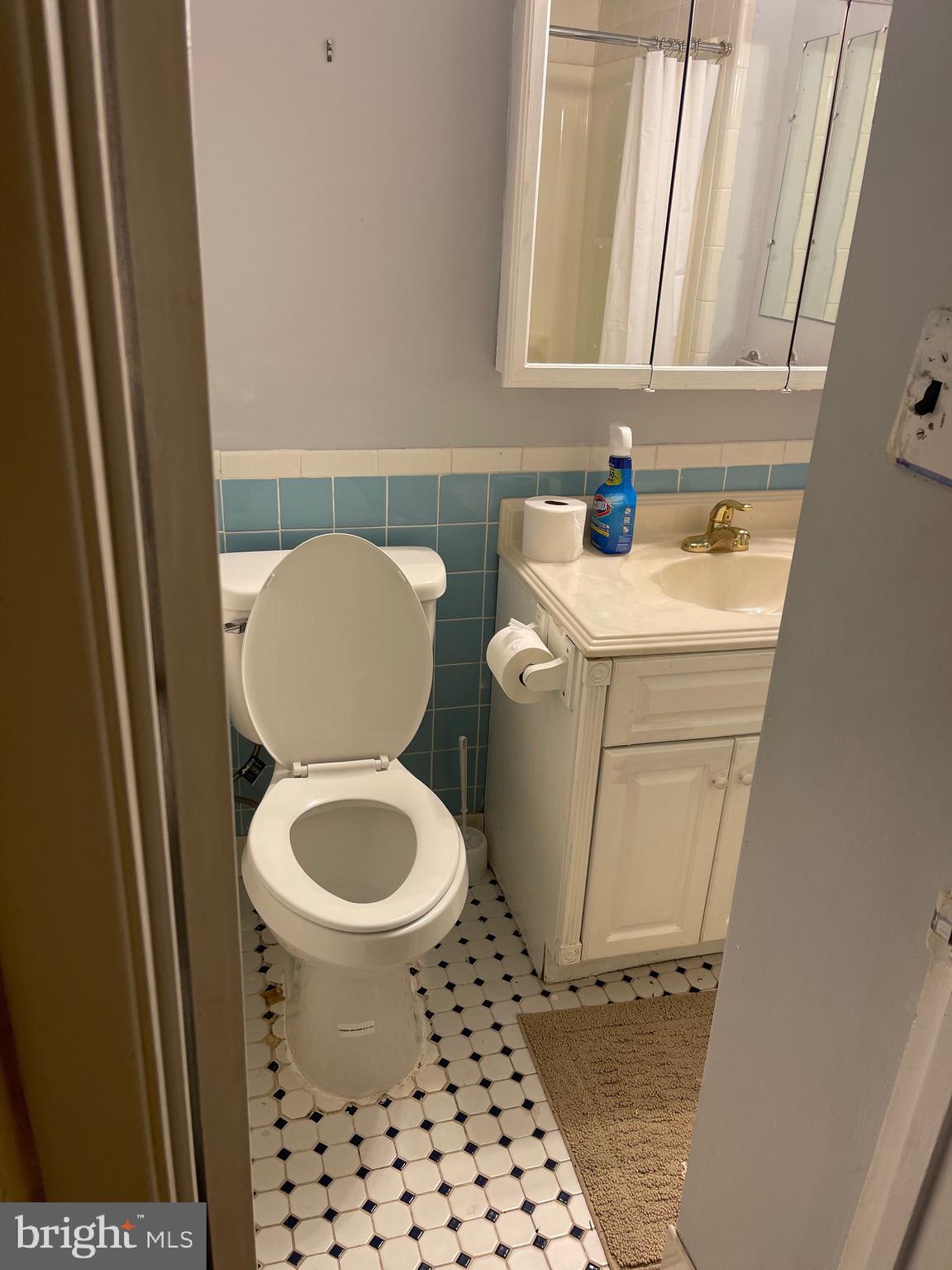 7012 Dolphin Road Lanham, MD 20706 - Photo 31 of 35 Lower Level Bathroom