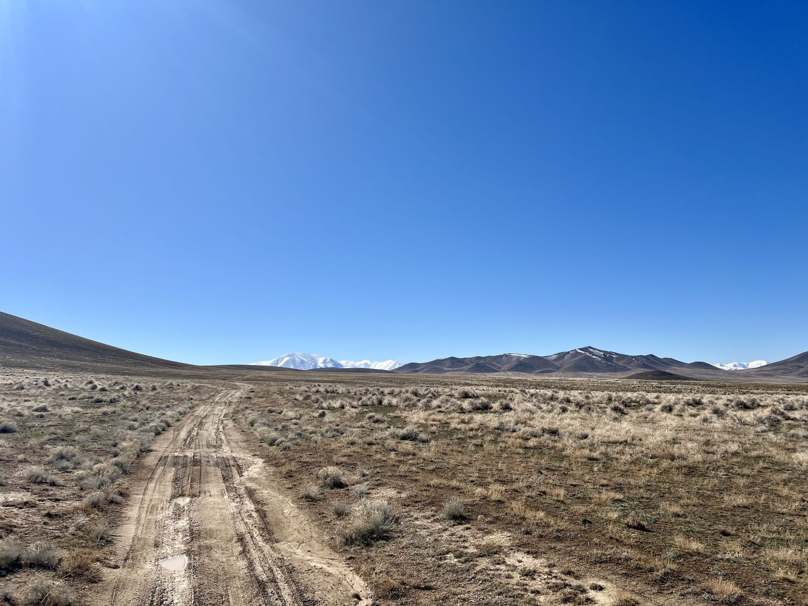 Frenchie Rd Crescent Valley Crescent Valley, NV 89821 - Photo 13 of 15