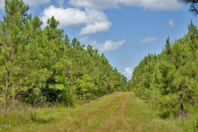 a view of a lake with a big yard