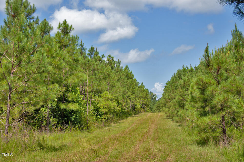 0 Buckhorn Road Bullock, NC 27507 - Photo 13 of 61 a view of a garden