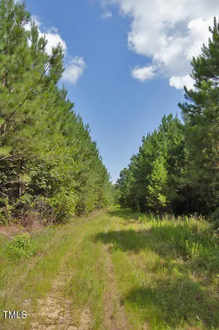 a backyard of a building